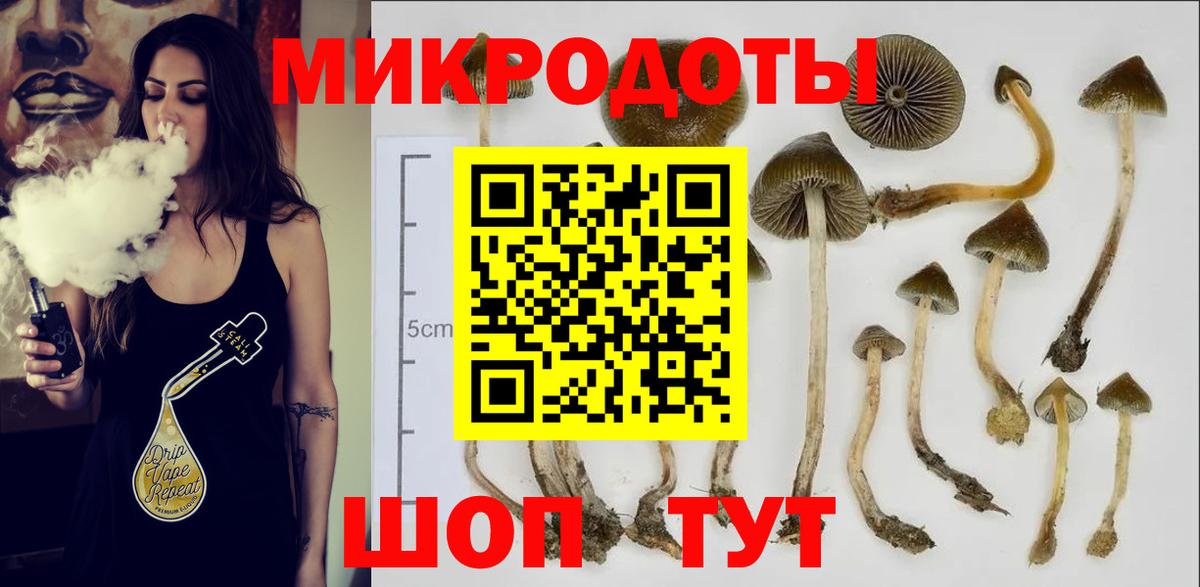 Галлюциногенные грибы GOLDEN TEACHER  Вход с VPN  Ликино-Дулёво  Галлюциногенные грибы Cubensis 
